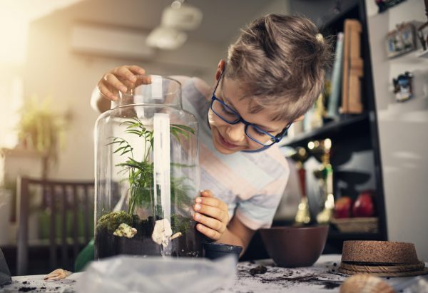 niño crea un jardin dentro de un recipiente de cristal