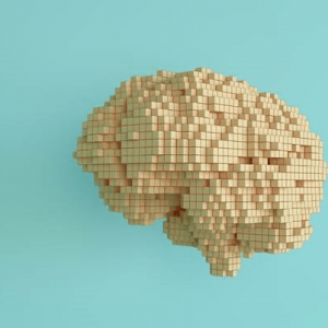 cervell fet amb pixels